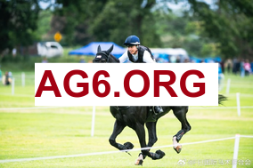 竞彩足球比分500